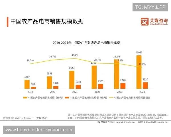 体育IP授权商品跨境电商销售带来新收入来源